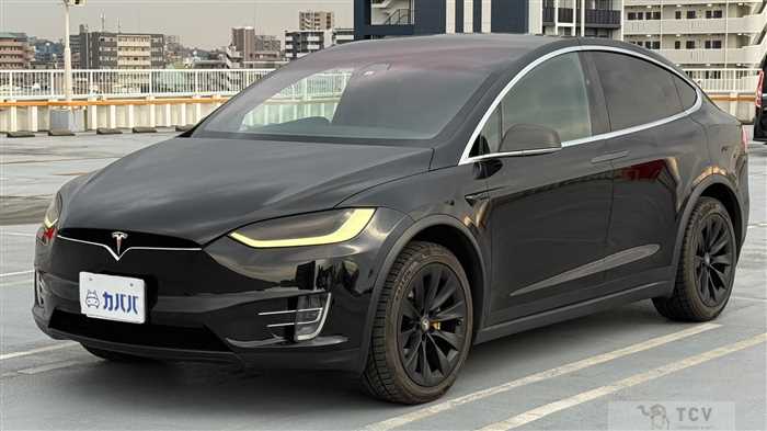 2017 Tesla Motors Others