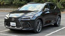 2023 Lexus NX