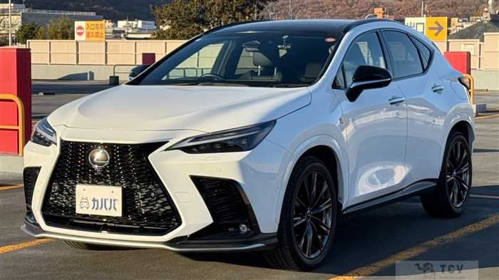 2022 Lexus NX