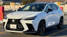 2022 Lexus NX