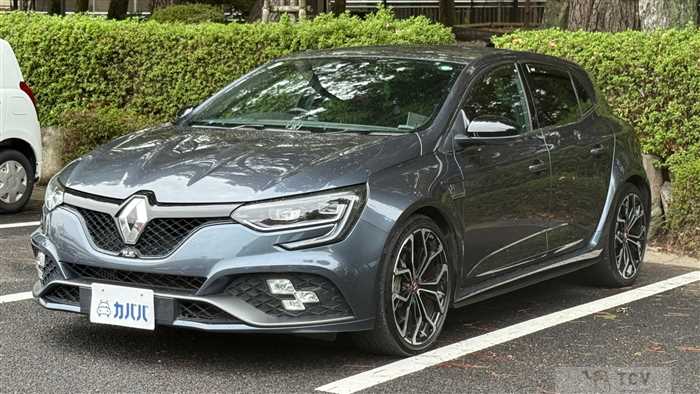 2019 Renault Megane