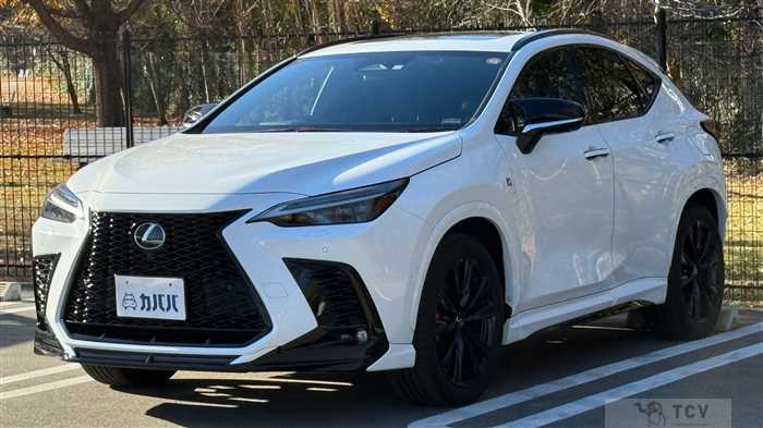 2023 Lexus NX