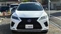 2020 Lexus RX