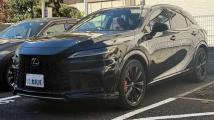 2023 Lexus RX