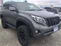 2015 Toyota Land Cruiser Prado