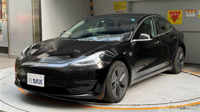 2019 Tesla Motors Others