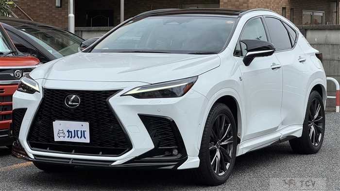 2024 Lexus NX
