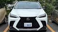 2024 Lexus NX
