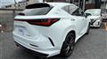 2024 Lexus NX