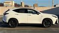 2022 Lexus NX