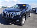 2017 Toyota Land Cruiser Prado