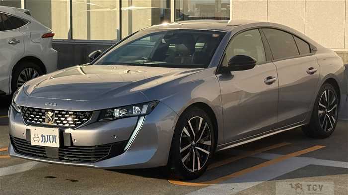 2019 Peugeot Peugoet Others