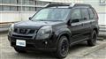 2013 Nissan X-Trail