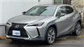 2021 Lexus UX