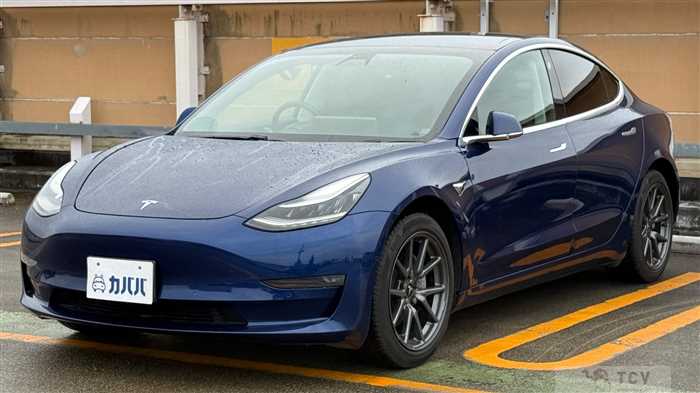 2019 Tesla Motors Others
