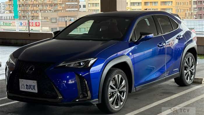 2021 Lexus UX