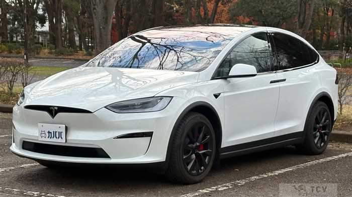 2025 Tesla Motors Others