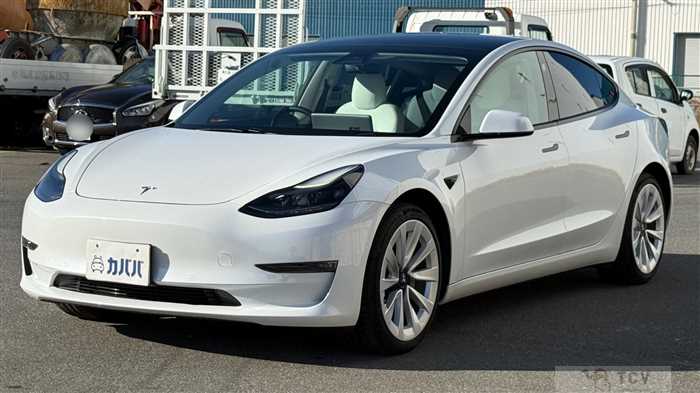 2021 Tesla Motors Others