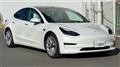 2021 Tesla Motors Others