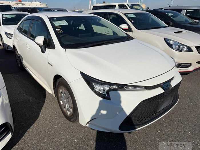 2020 Toyota Toyota Others