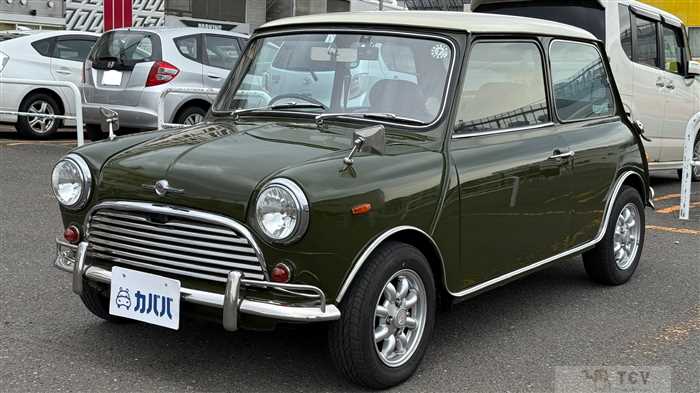 1995 Rover Mini