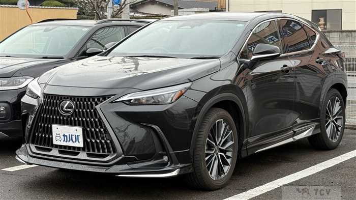 2024 Lexus NX