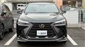 2024 Lexus NX