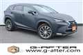2014 Lexus NX