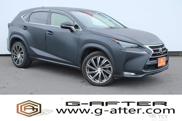 2014 Lexus NX