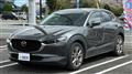 2019 Mazda Eunos Others