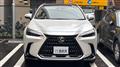 2023 Lexus NX