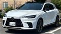 2025 Lexus RX