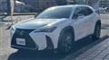 2020 Lexus UX