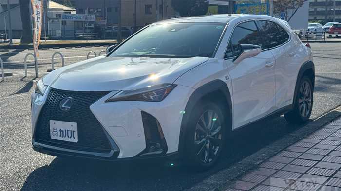 2020 Lexus UX