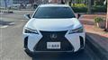 2020 Lexus UX