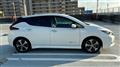 2019 Nissan Leaf