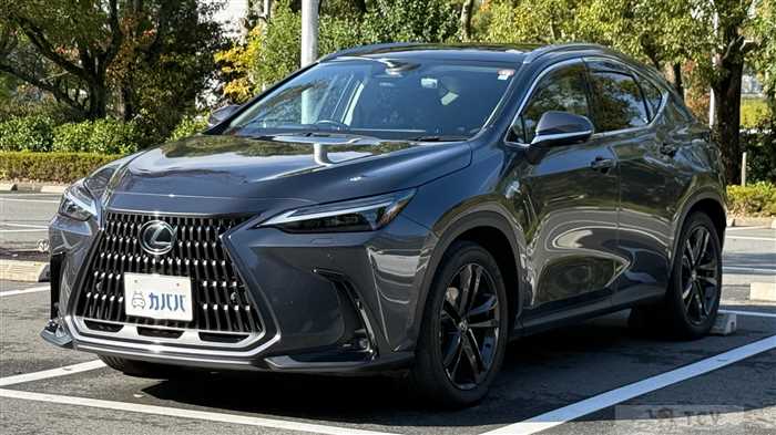 2023 Lexus NX