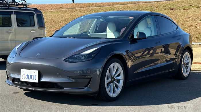 2021 Tesla Motors Others