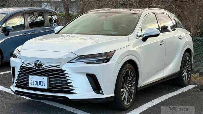 2023 Lexus RX