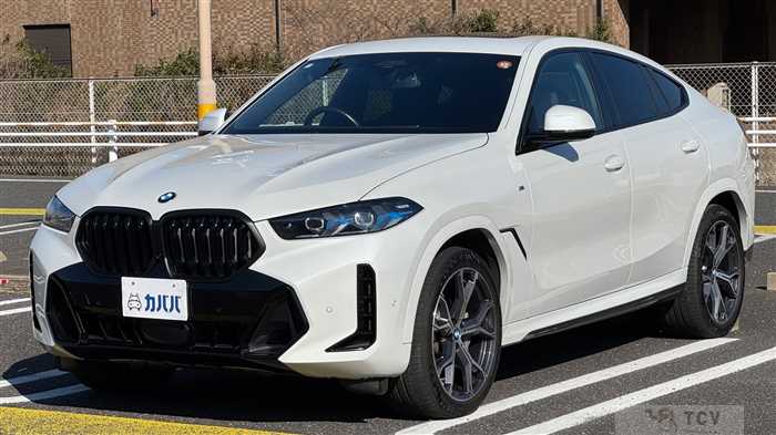 2024 BMW X6
