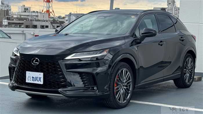 2024 Lexus RX