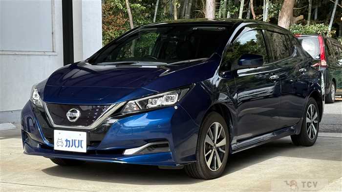 2019 Nissan Leaf