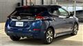 2019 Nissan Leaf