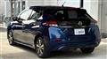 2019 Nissan Leaf