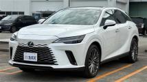 2024 Lexus RX
