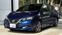 2019 Nissan Leaf