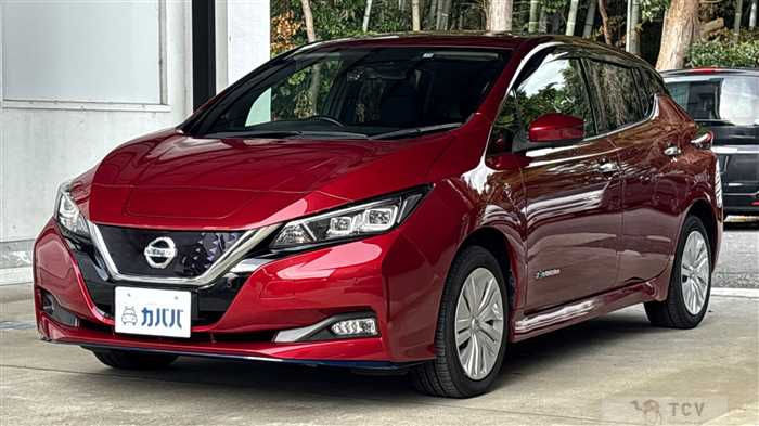 2019 Nissan Leaf