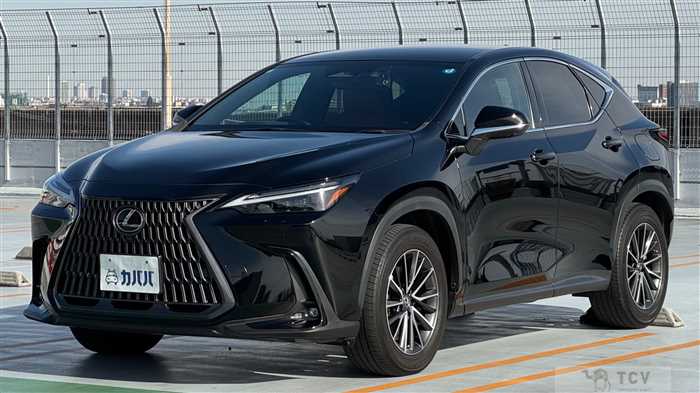 2022 Lexus NX