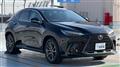 2022 Lexus NX