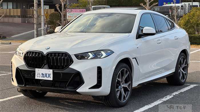 2024 BMW X6